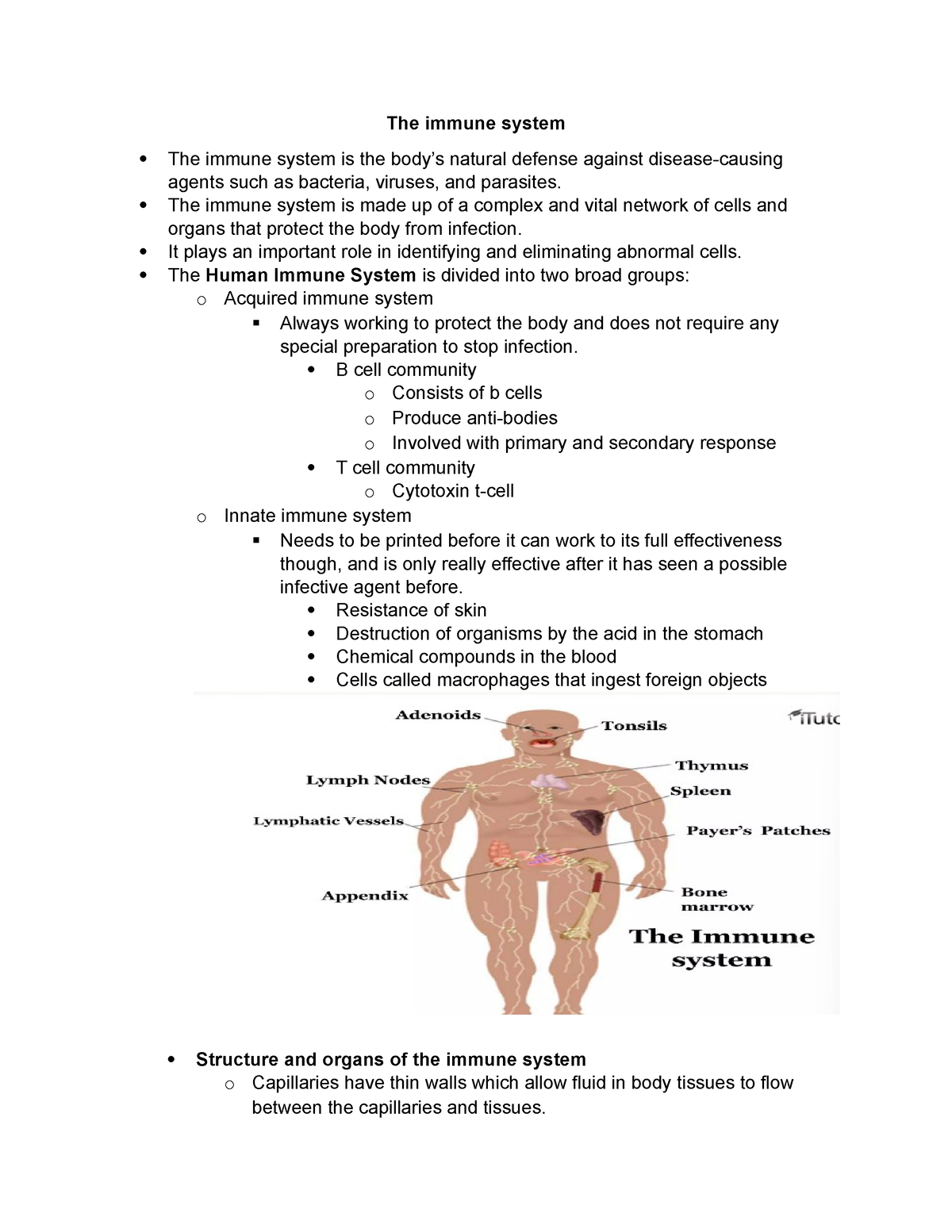 Immune-system Feedback-mechanims - The immune system The immune system ...