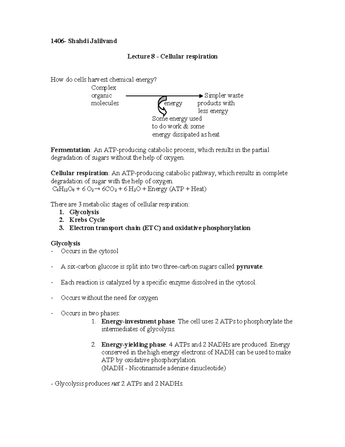 1406+lecture+8-Cellular+Respiration - 1406- Shahdi Jalilvand Lecture 8 ...