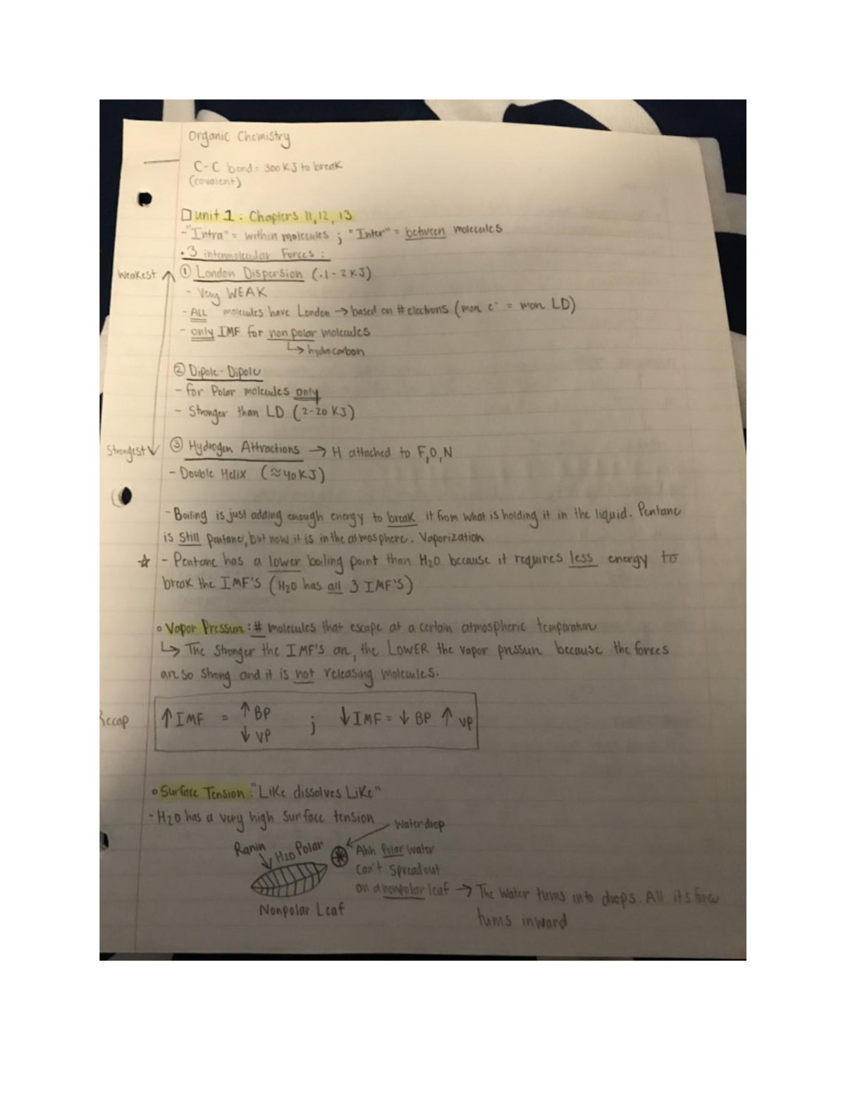 CHEM 231 Unit 1 Chapters 11, 12, and 13 Notes - Studocu