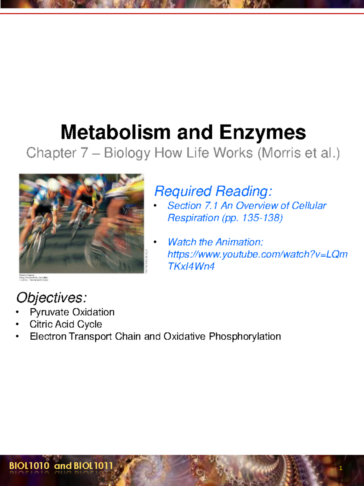 L9 Respiration Part 2 2021 221006 135029 - BIOL1010 And BIOL1011 1 ...