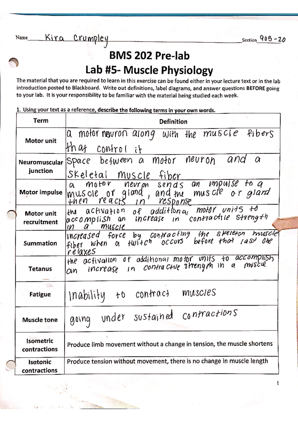 Anatomy Pre Lab #5 - Pre Lab #5 - BMS 202 - Studocu