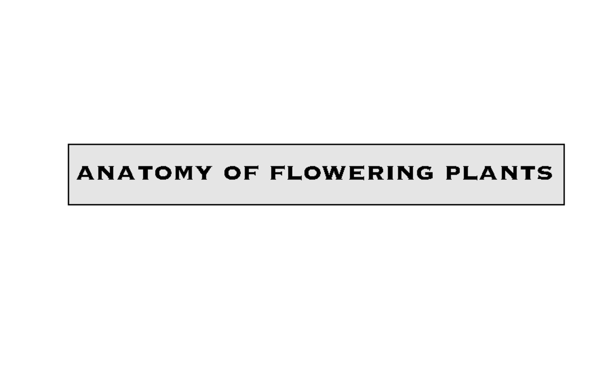 anatomy-of-flowering-plants-anatomy-of-flowering-plants-1