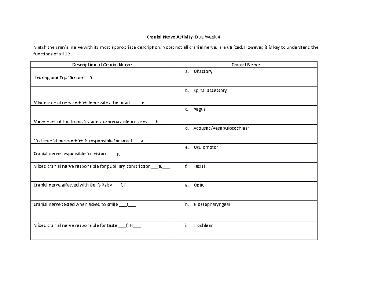 Cranial Nerve Activity - Cranial Nerve Due Week 4 Match the cranial ...