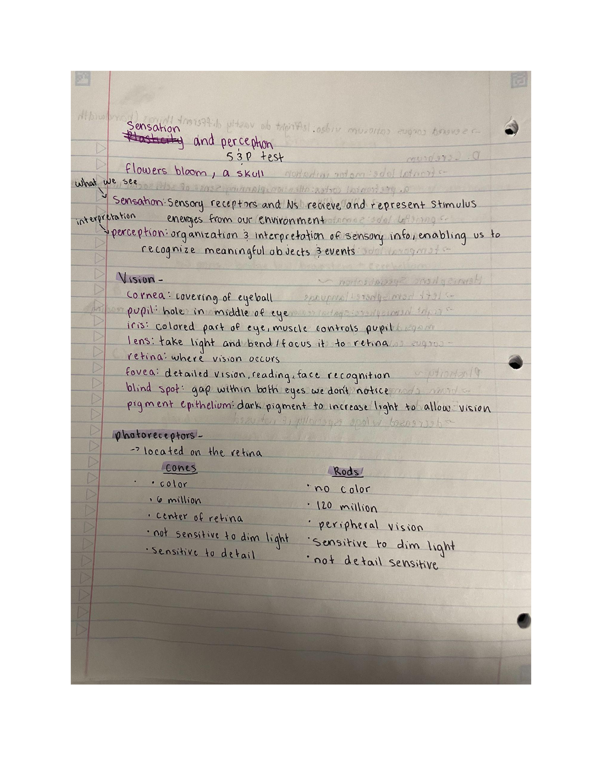 Chapter 5 - Sensation And Perception - PSYC 101 - Studocu