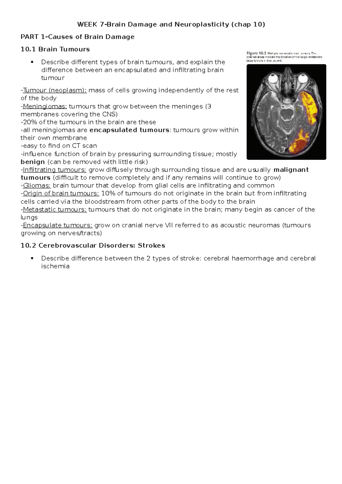WEEK 7 brain plasticity and damage Y - WEEK 7-Brain Damage and ...