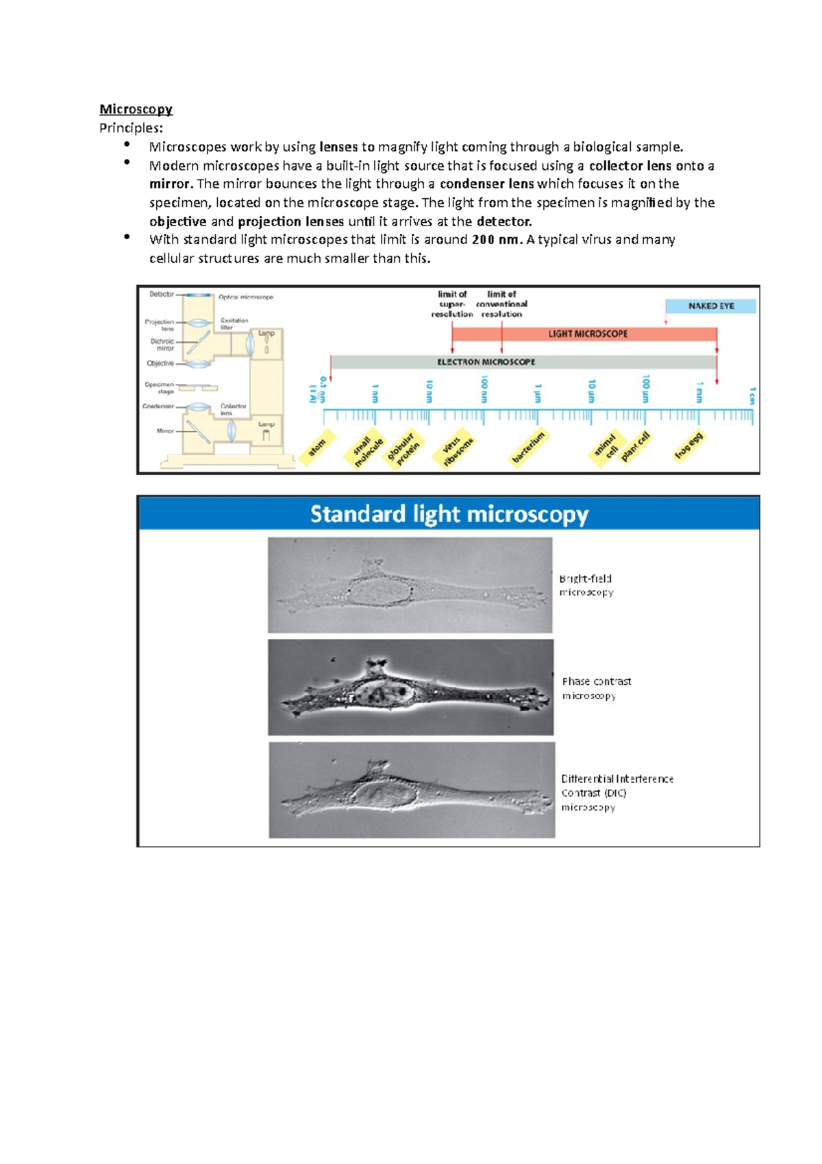 Microscopy Microscopy Principles Microscopes work by using lenses to