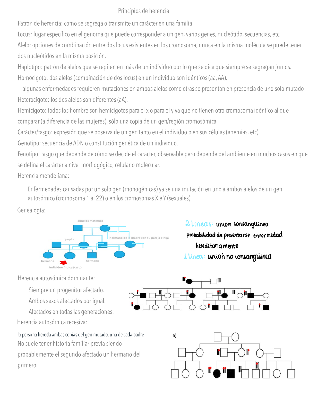 Resumen Taller Bioquímica Principios De Herencia Patrón De Herencia