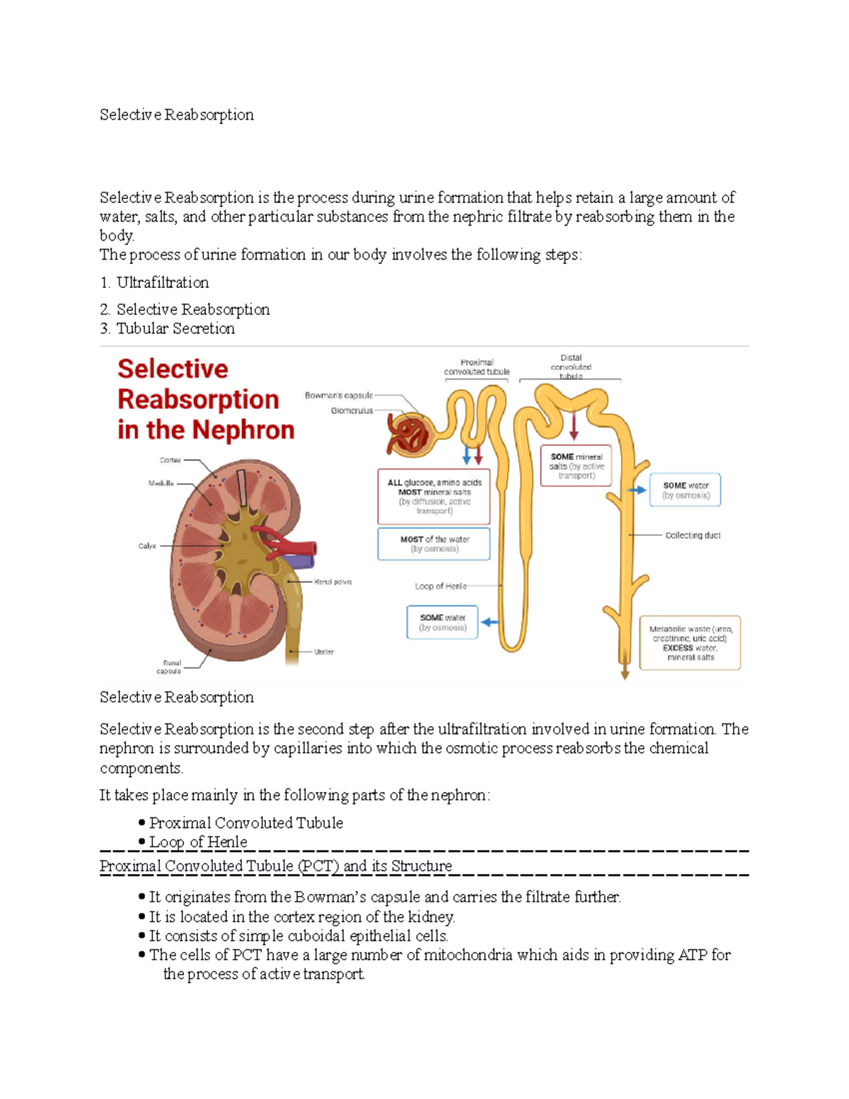 selective-reabsorption-selective-reabsorption-selective-reabsorption