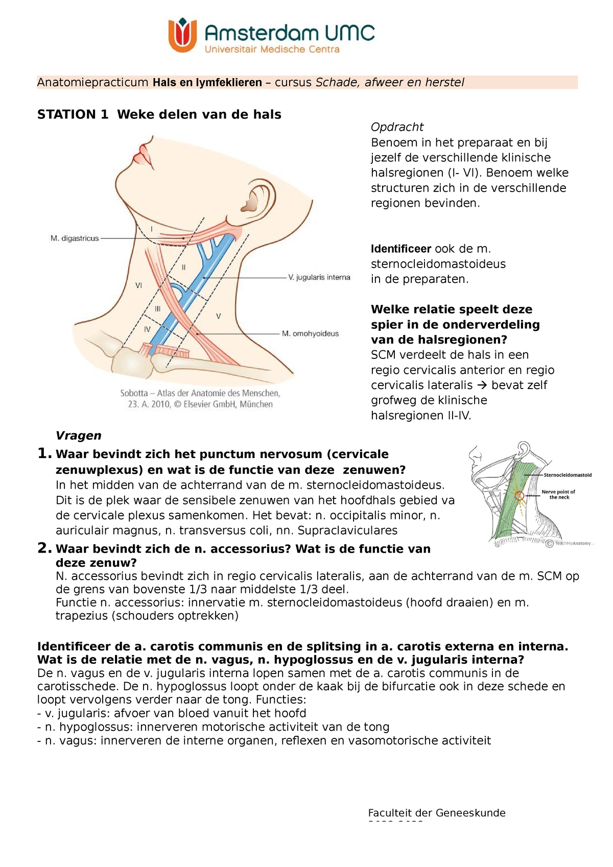 Pr1 Anatomie Hals En Lymfeklieren Faculteit Der Geneeskunde 2022