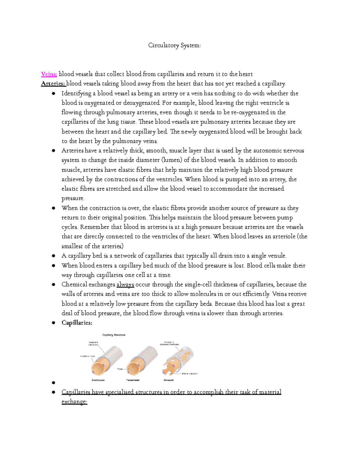 Bio notes - Circulatory - Isabella Varone - Circulatory System: Veins ...