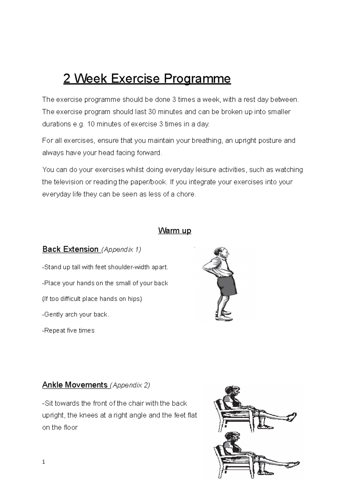 Essay - Grade: B+ - 2 Week Exercise Programme The Exercise Programme ...