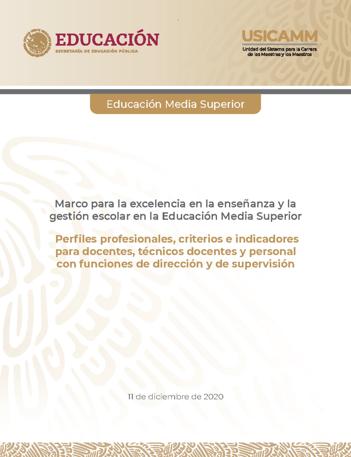 05. Marco De Excelencia - Perfiles Profesionales EMS - Marco Para La ...