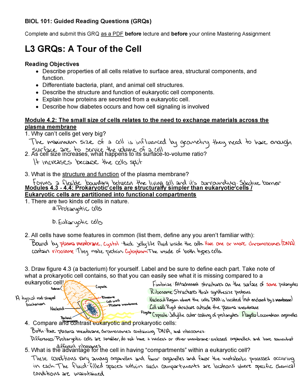 Lesson 3 GRQs A Tour of the Cell - BIOL 101: Guided Reading Questions ...