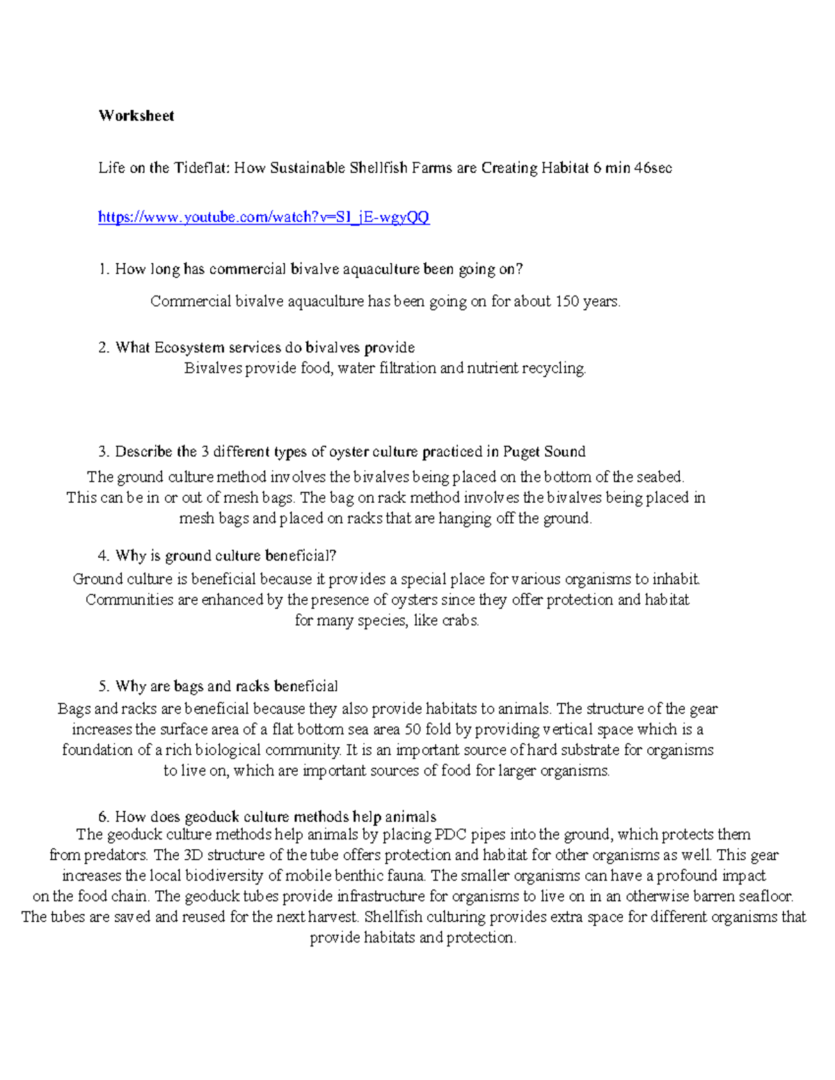 Worksheet Mollusc - Worksheet Life on the Tideflat: How Sustainable ...