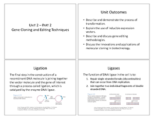 Unit 1 Principles of Molecular Biology & Gene Expression ...