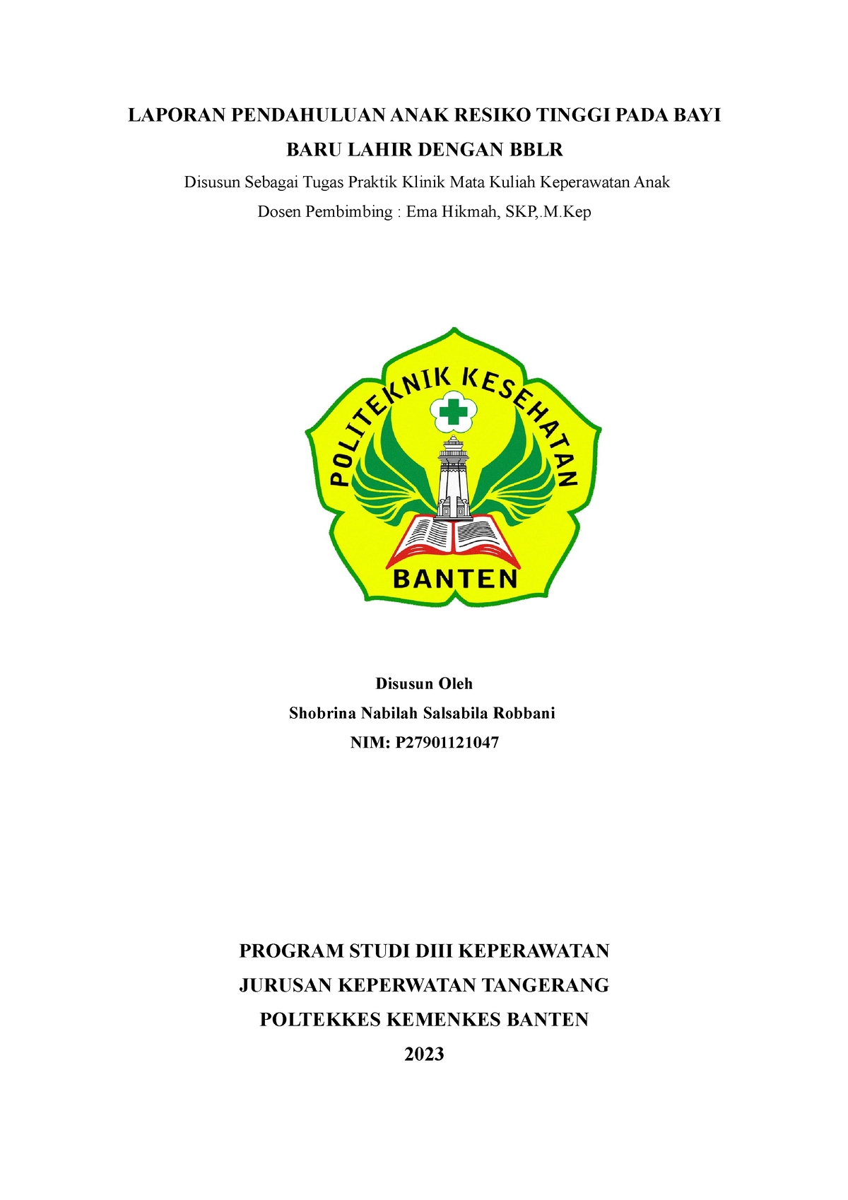 Laporan Pendahuluan ANAK Resiko Tinggi PADA BAYI BARU Lahir Dengan BBLR ...