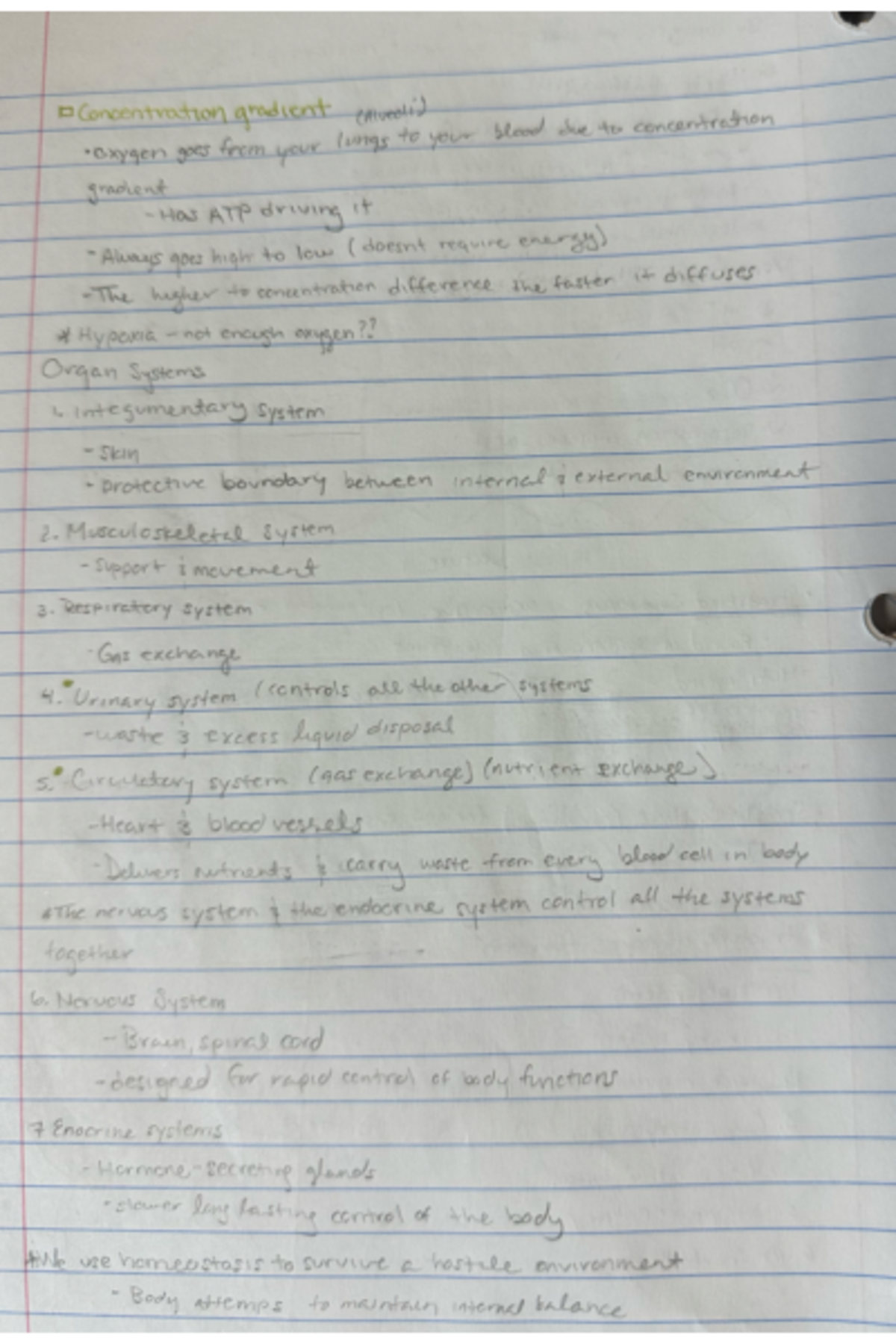 Photo 5 These Are Some Of My Notes From His Lectures Bild 2 Studocu