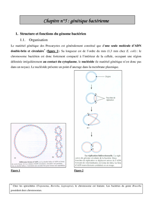 Microbiologie - Microbio - MICROBIOLOGIE 1. INTRODUCTION La ...