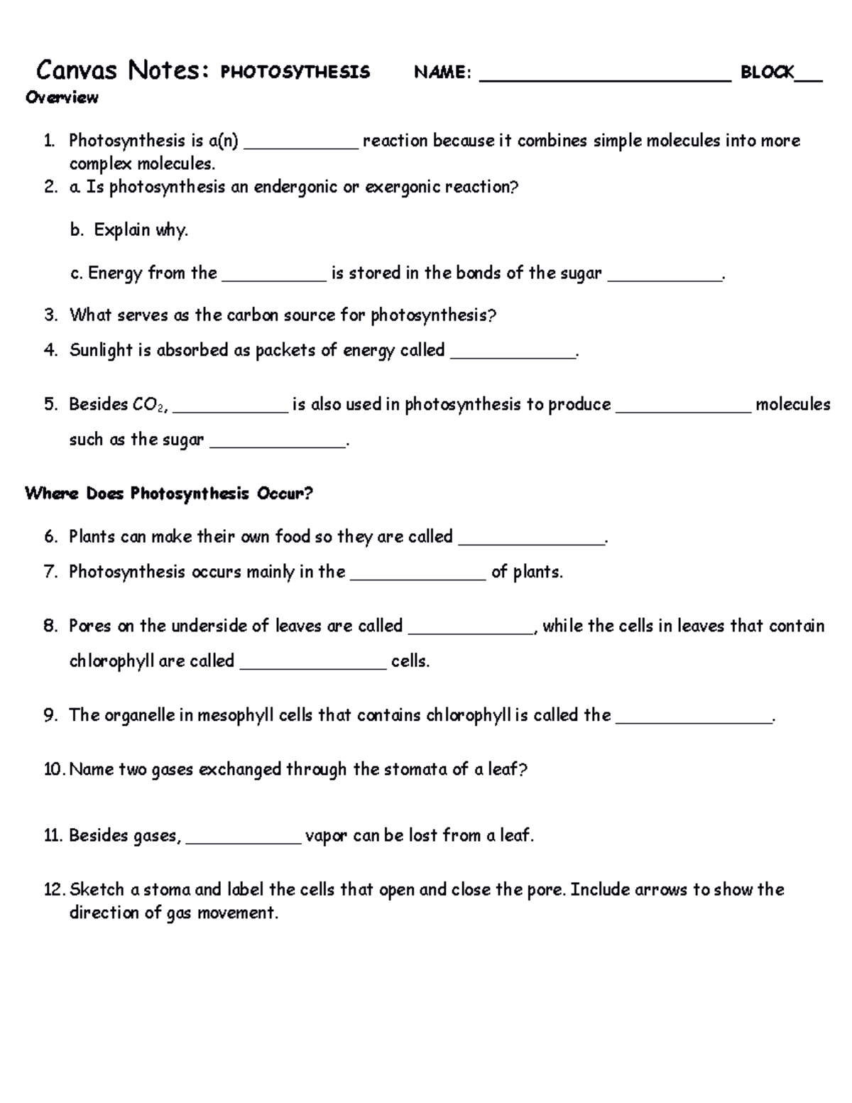 Canvas notes photosynthesis - Canvas Notes: PHOTOSYTHESIS NAME ...