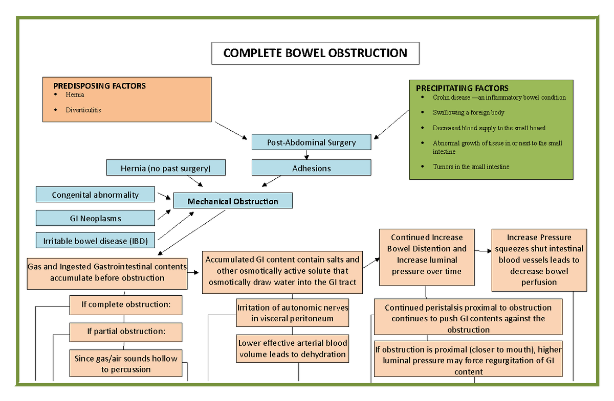 Patho - COMPLETE BOWEL OBSTRUCTION PREDISPOSING FACTORS Hernia ...