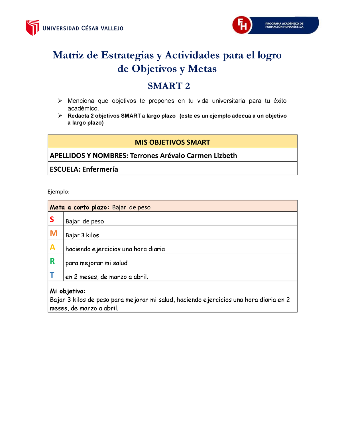 Tutoria Practica Matriz De Estrategias Y Actividades Para El Logro De Objetivos Y Metas 5072