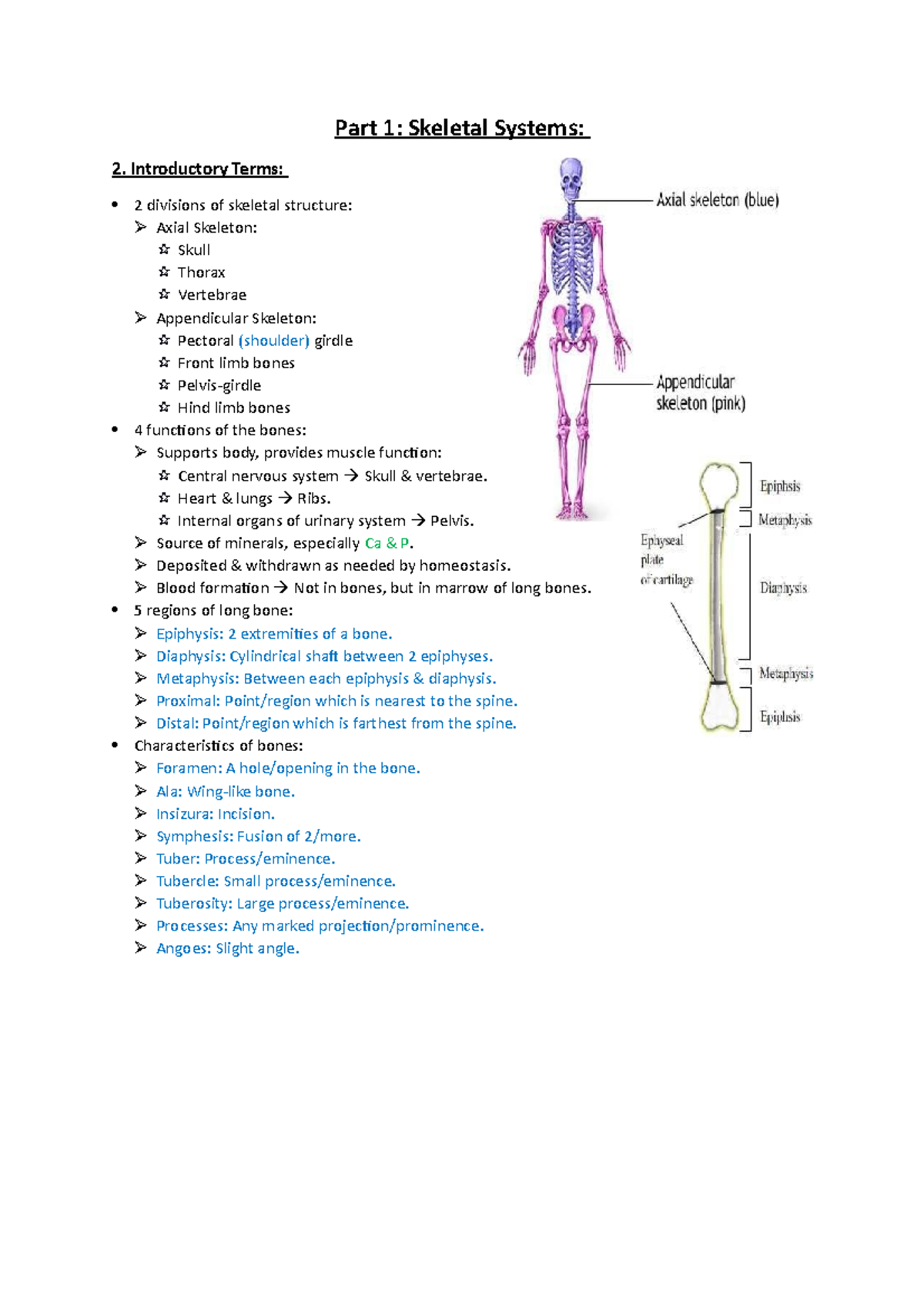 2 Introductory Terms Part 1 Skeletal Systems 2 Introductory Terms