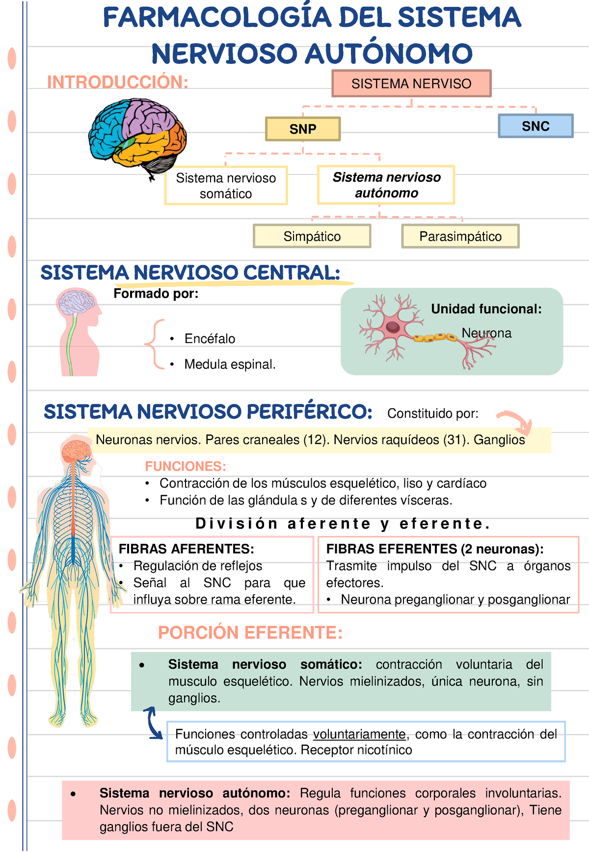 Cuaderno De Farmacologia Snc Sistema Nervioso Central Farmacolog A