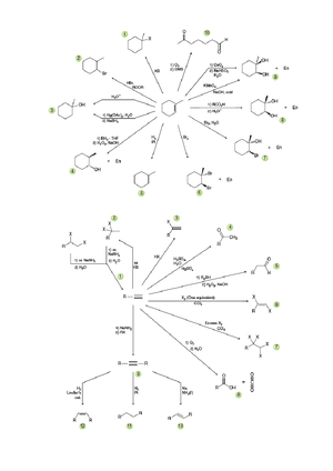 Organic Sheet - Preparation of Dienes From Allylic Halides From ...