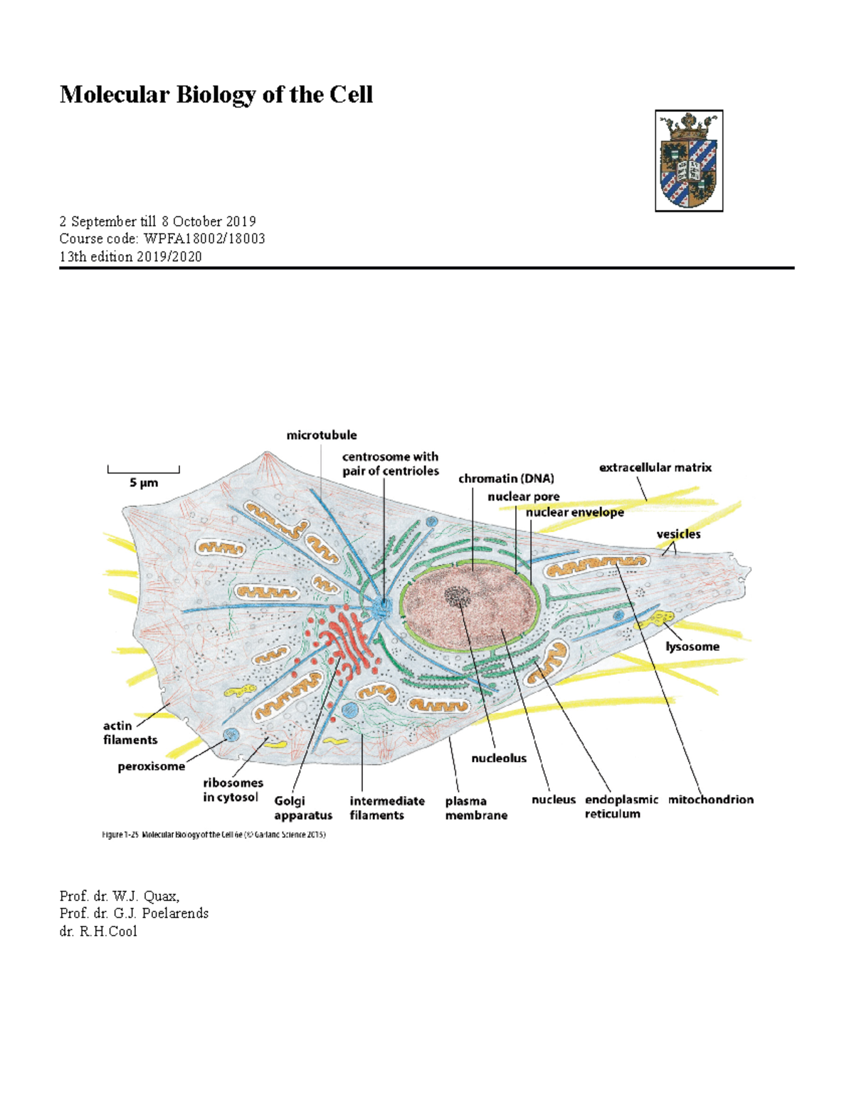 Syllabus Molecular biology of the cell 2019-2020 - Molecular Biology of ...