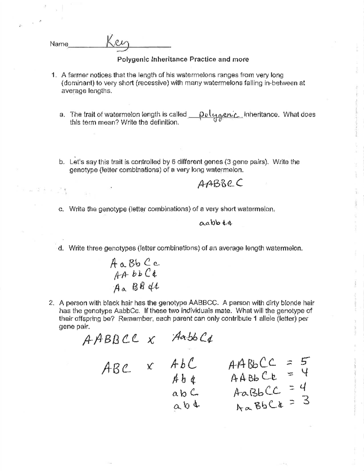 Polygenic KEY Answer key Name Key Polygenic Inheritance Practice and more 1. A farmer