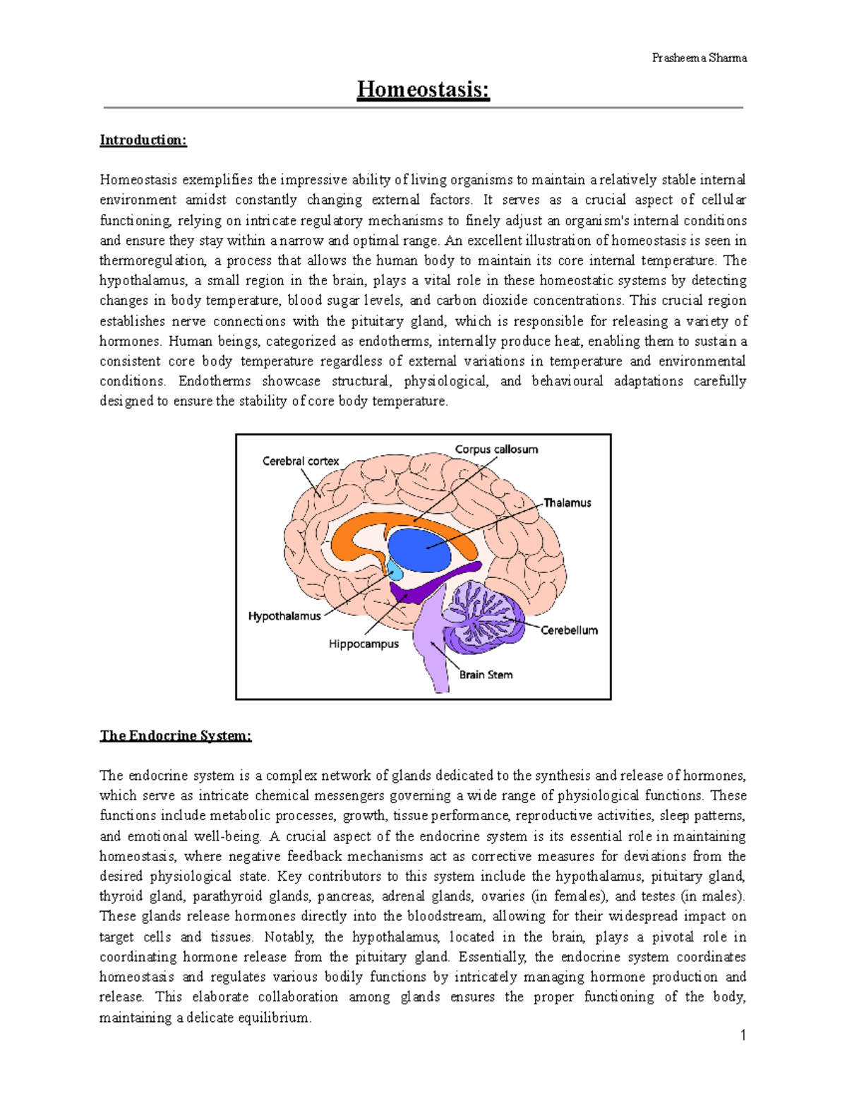 Homeostasis - AS91607 - Homeostasis: Introduction: Homeostasis ...