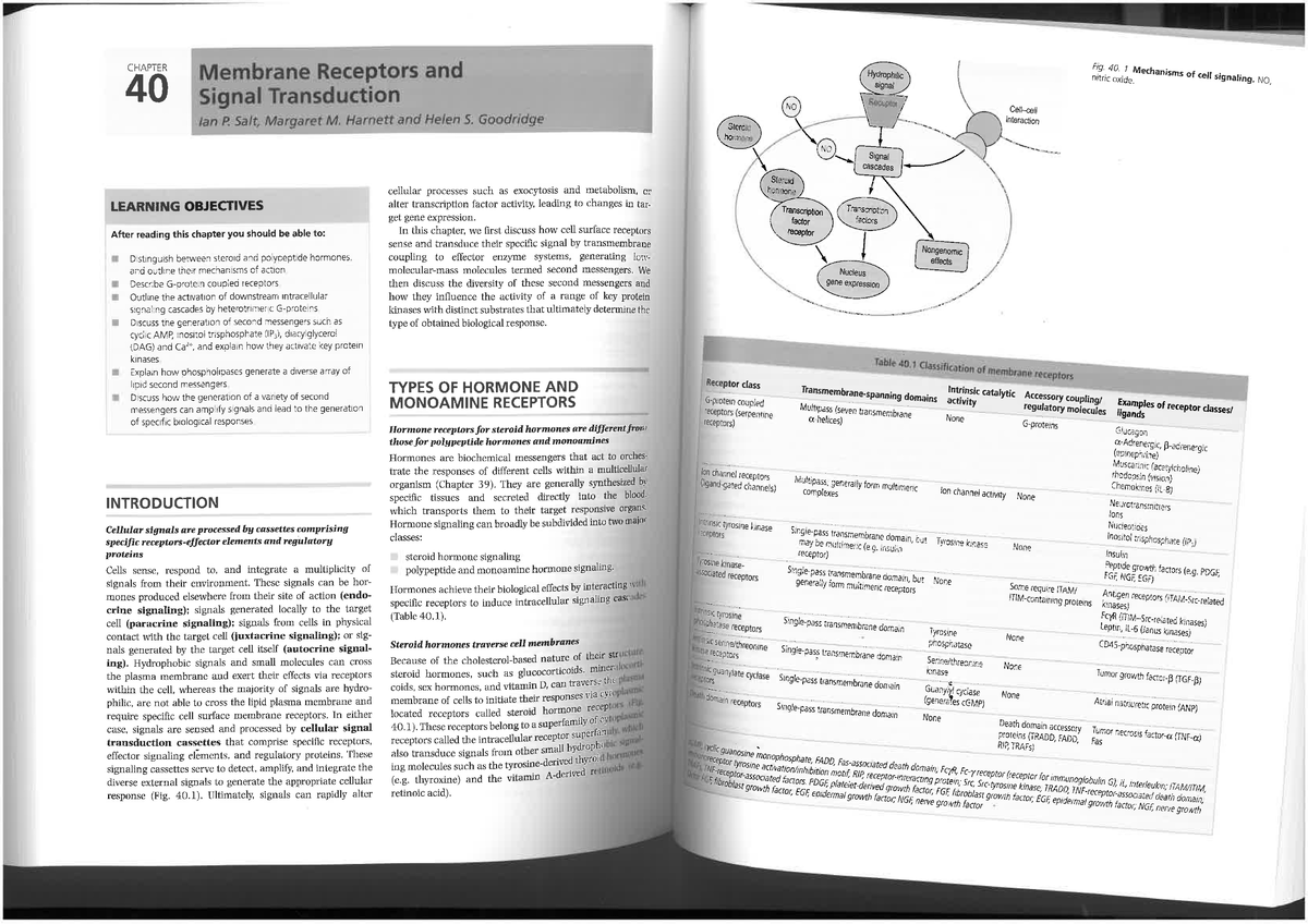 Baynes Ch 40 and 41 - Prescribed reading for biochem - BMSC12010 - CQU ...