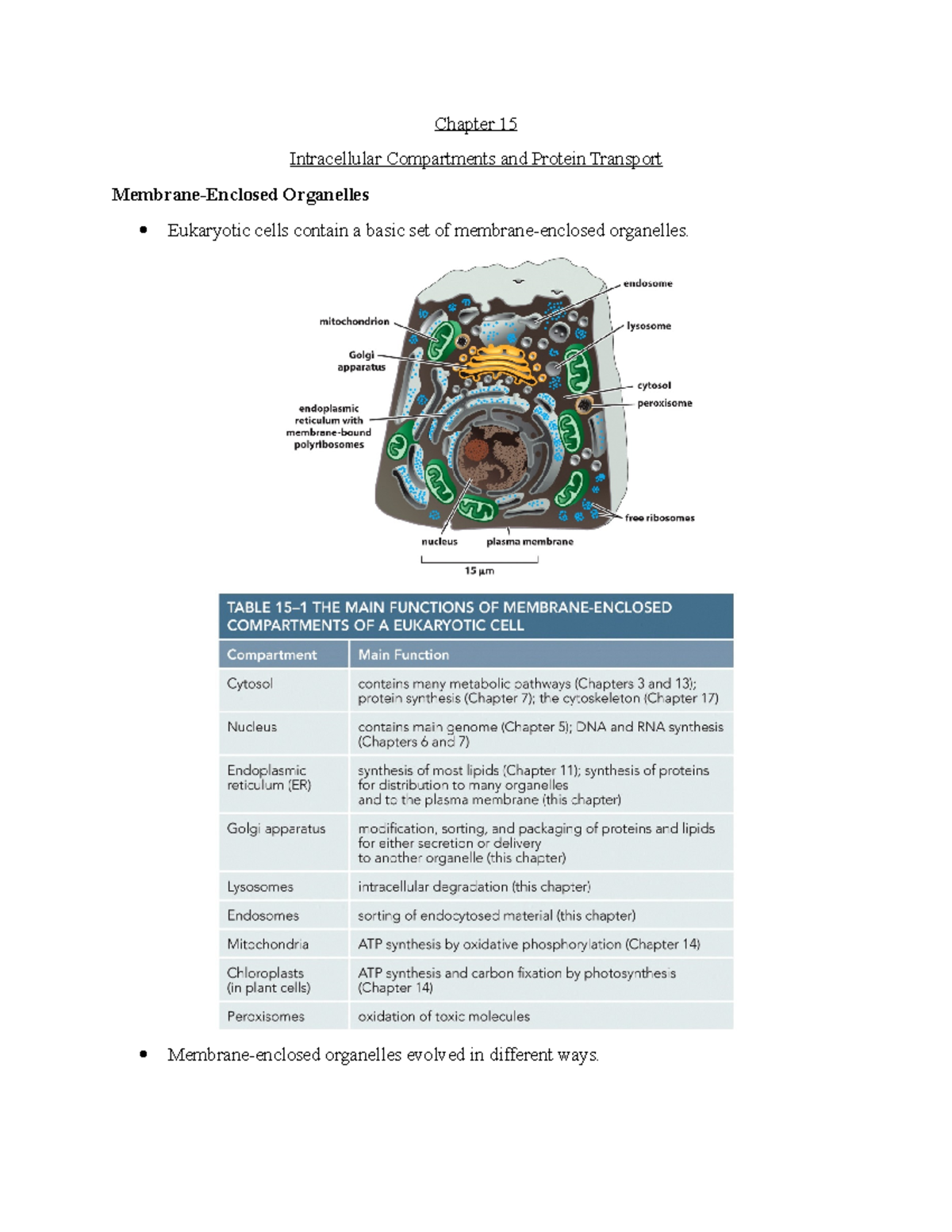 Oct. 30th - Lecture notes 4 - Chapter 15 Intracellular Compartments and ...