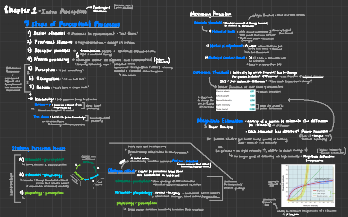 Perception Chapters 12 MIDTERM 1 > psychological (sin