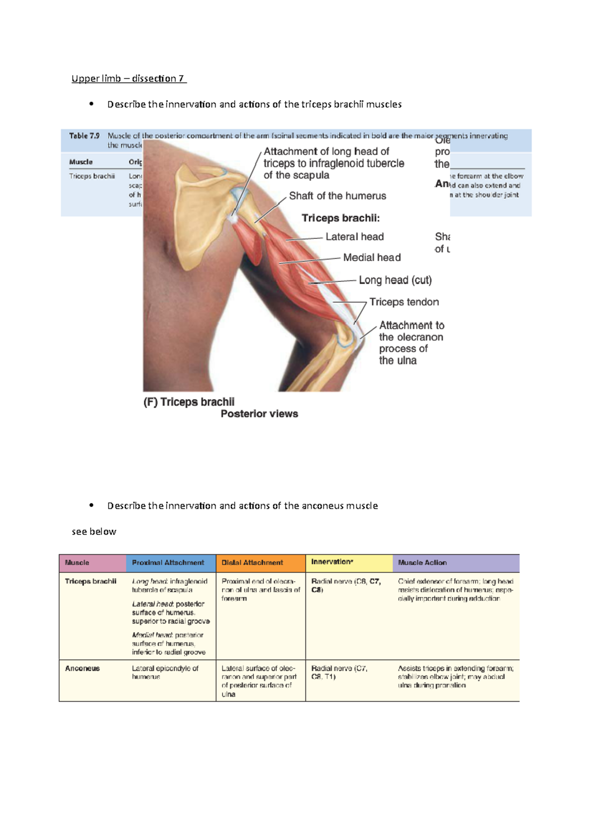 Upper Limb dissection 7 - Upper limb – dissection 7 Describe the ...