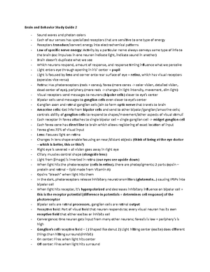 Brain and Behavior Study Guide - Unit 3 - Brain and Behavior Study ...