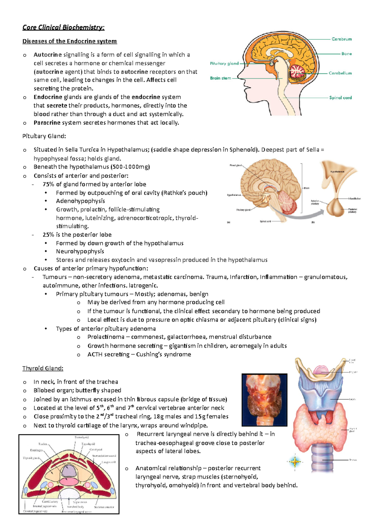 Core Clinical Biochemistry - Core Clinical Biochemistry: Diseases of ...