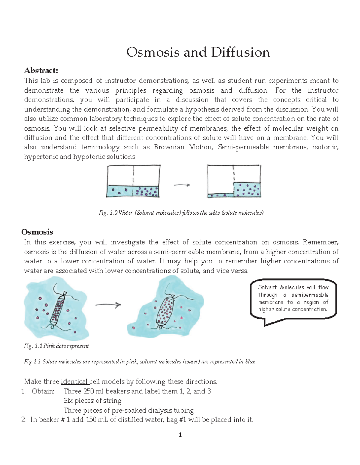 Osmosis and Diffusion Lab Osmosis and Diffusion Abstract This lab is