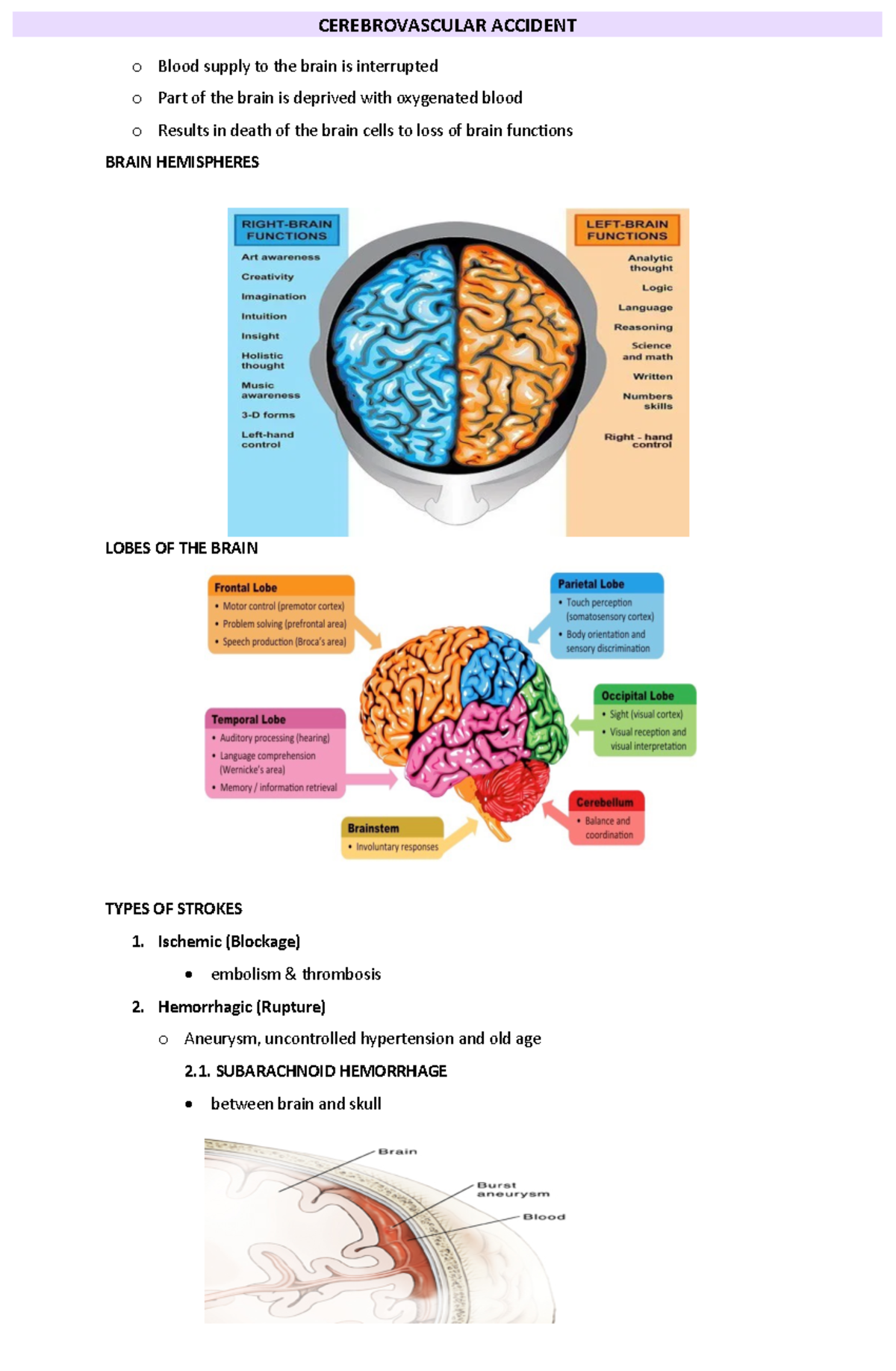 Cerebrovascular Accident - CEREBROVASCULAR ACCIDENT o Blood supply to ...