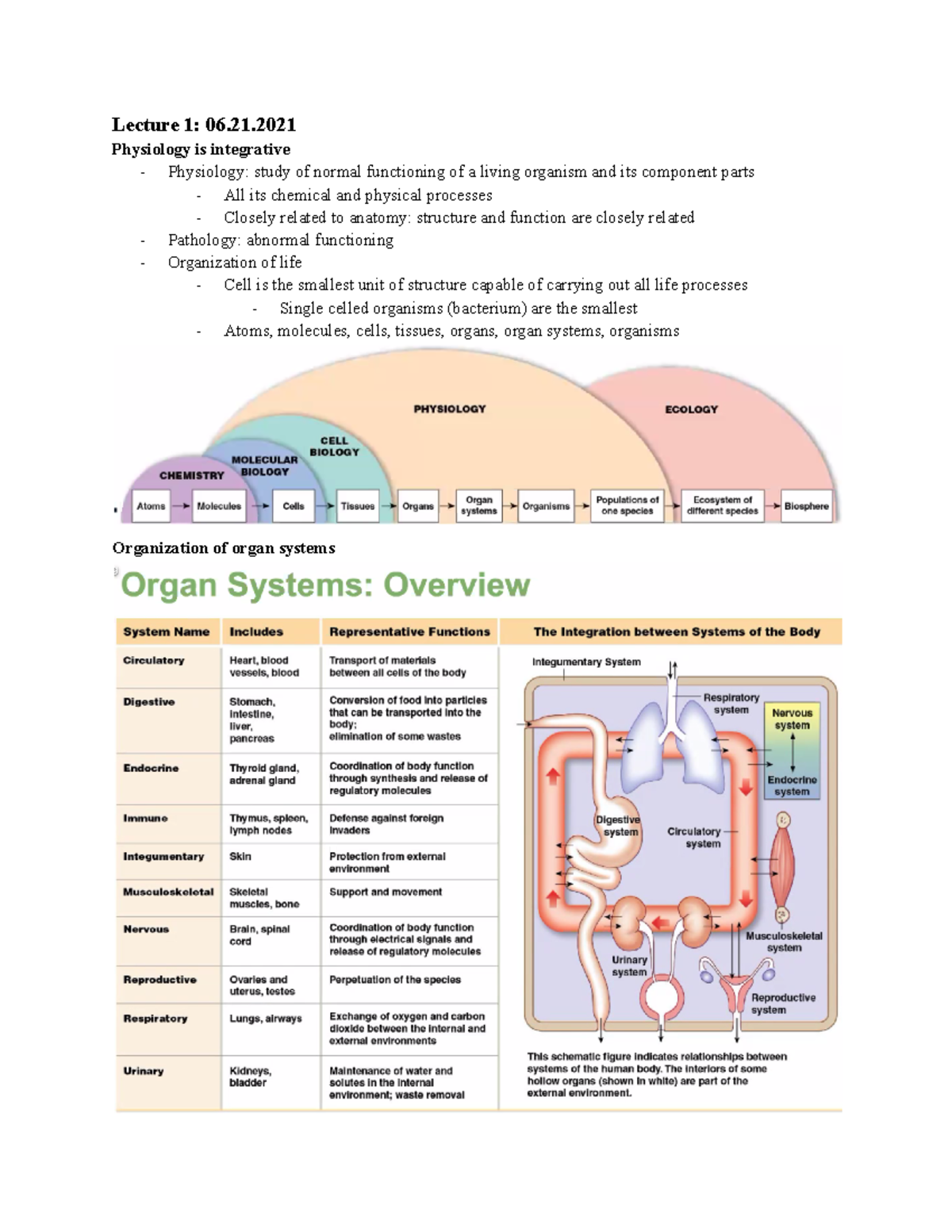 1 1 WHAT IS PHYSIOLOGY visual data 4