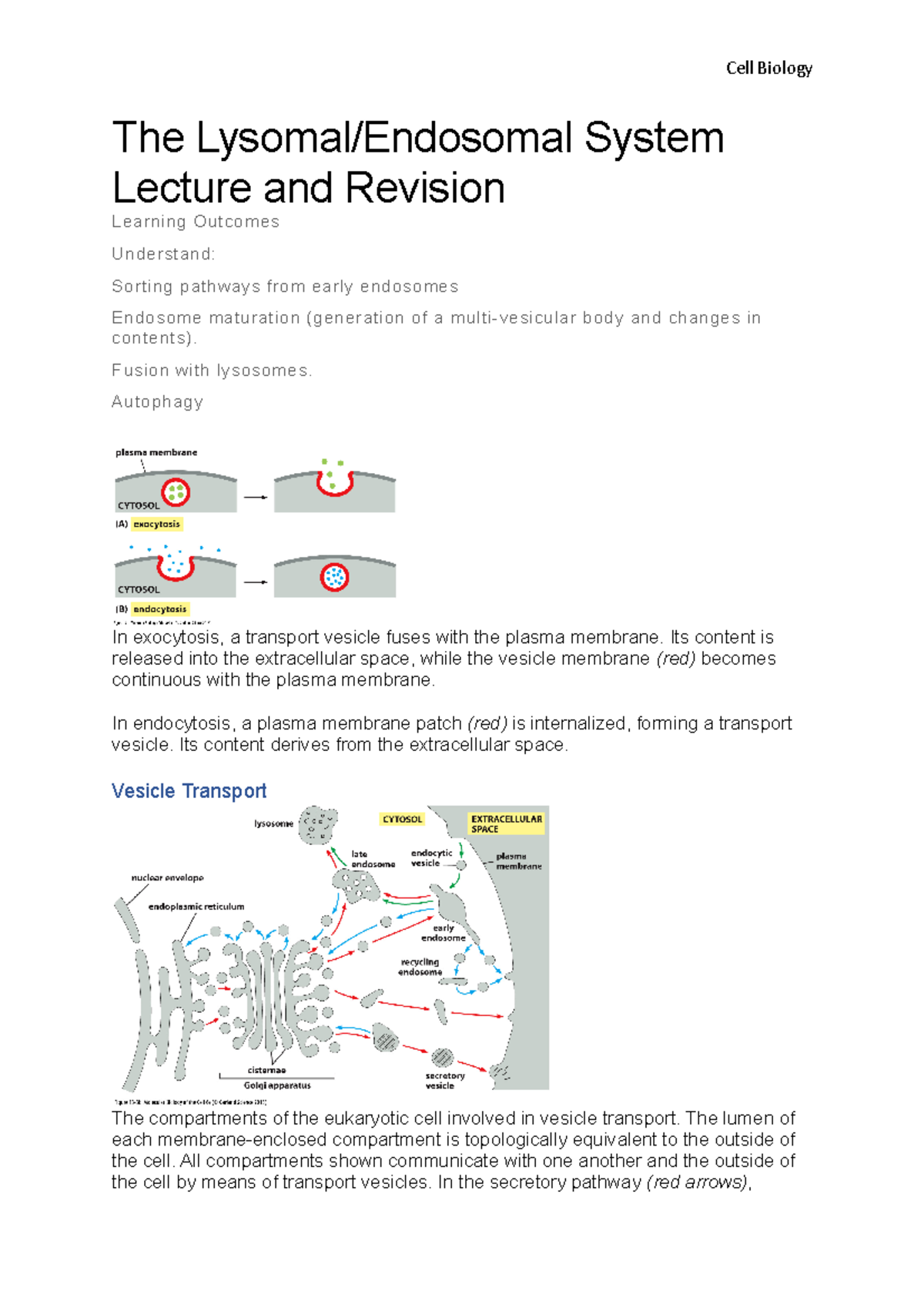 Lecture 6- The Lysomal Endosomal System - Cell Biology The Lysomal ...