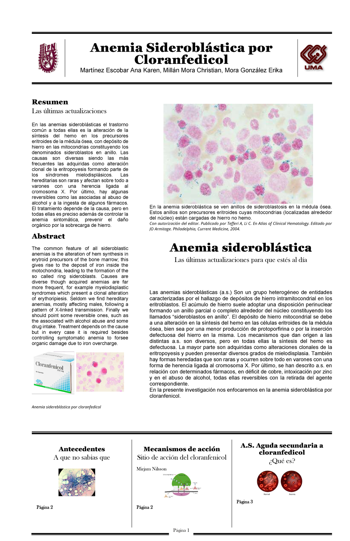 anemia-siderobl-stica-cloranfedicol-anemia-siderobl-stica-por