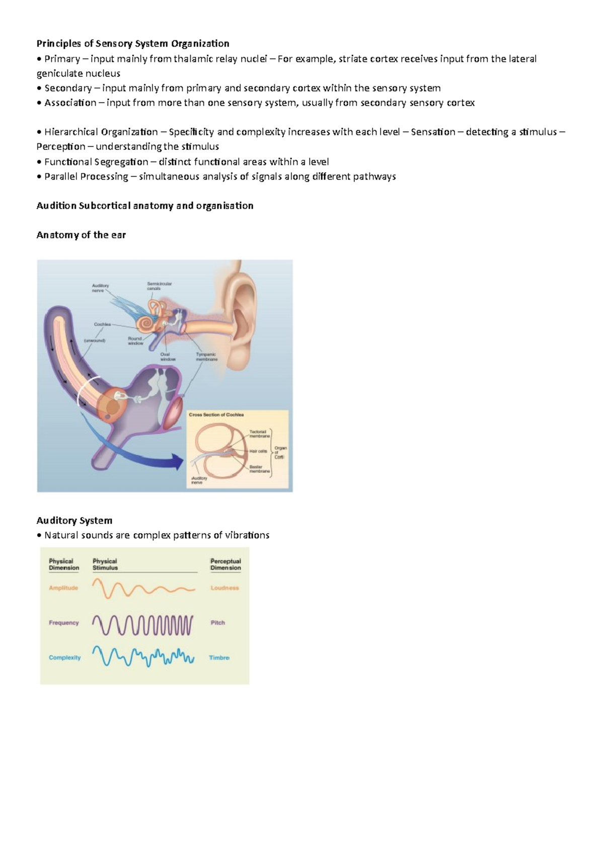 Week 5 Audition And Somatosensation Update - Principles Of Sensory ...