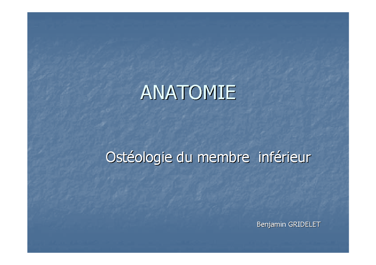 Myologie Du Membre Inf Rieur Anatomie Anatomie Ost Ost Ologie Du Membre Inf Ologie Du