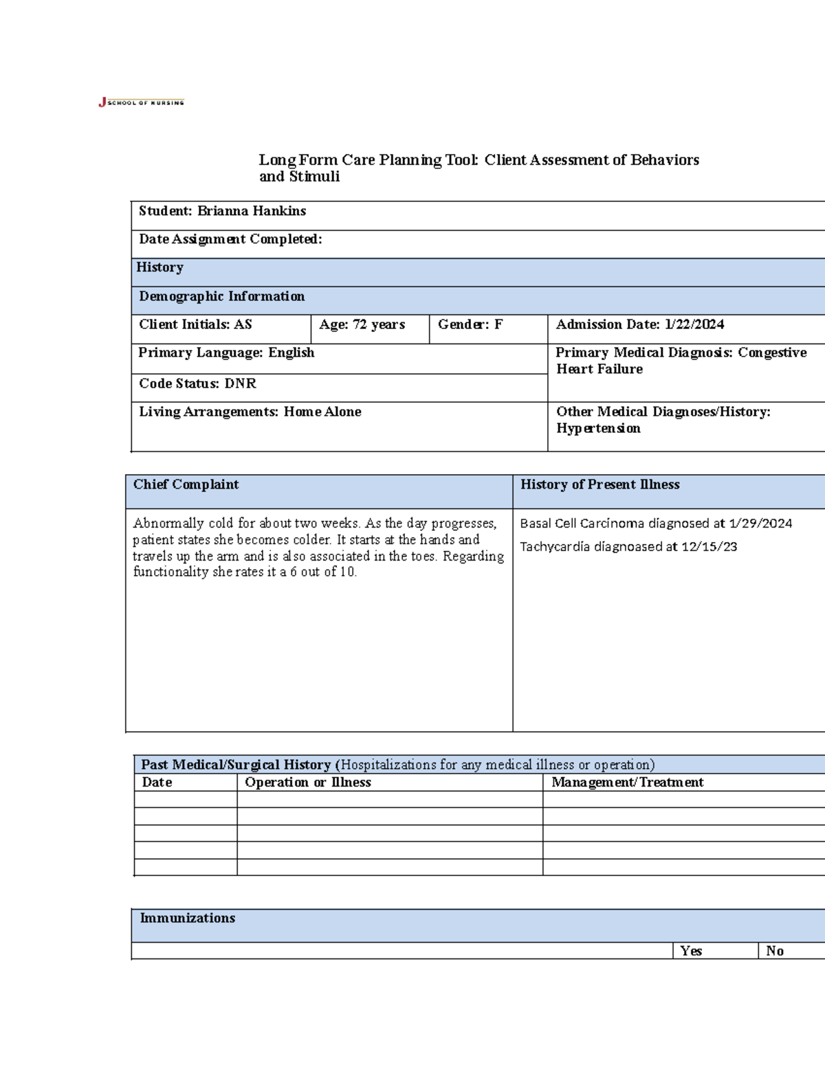 Handout long form care plan - Long Form Care Planning Tool: Client ...