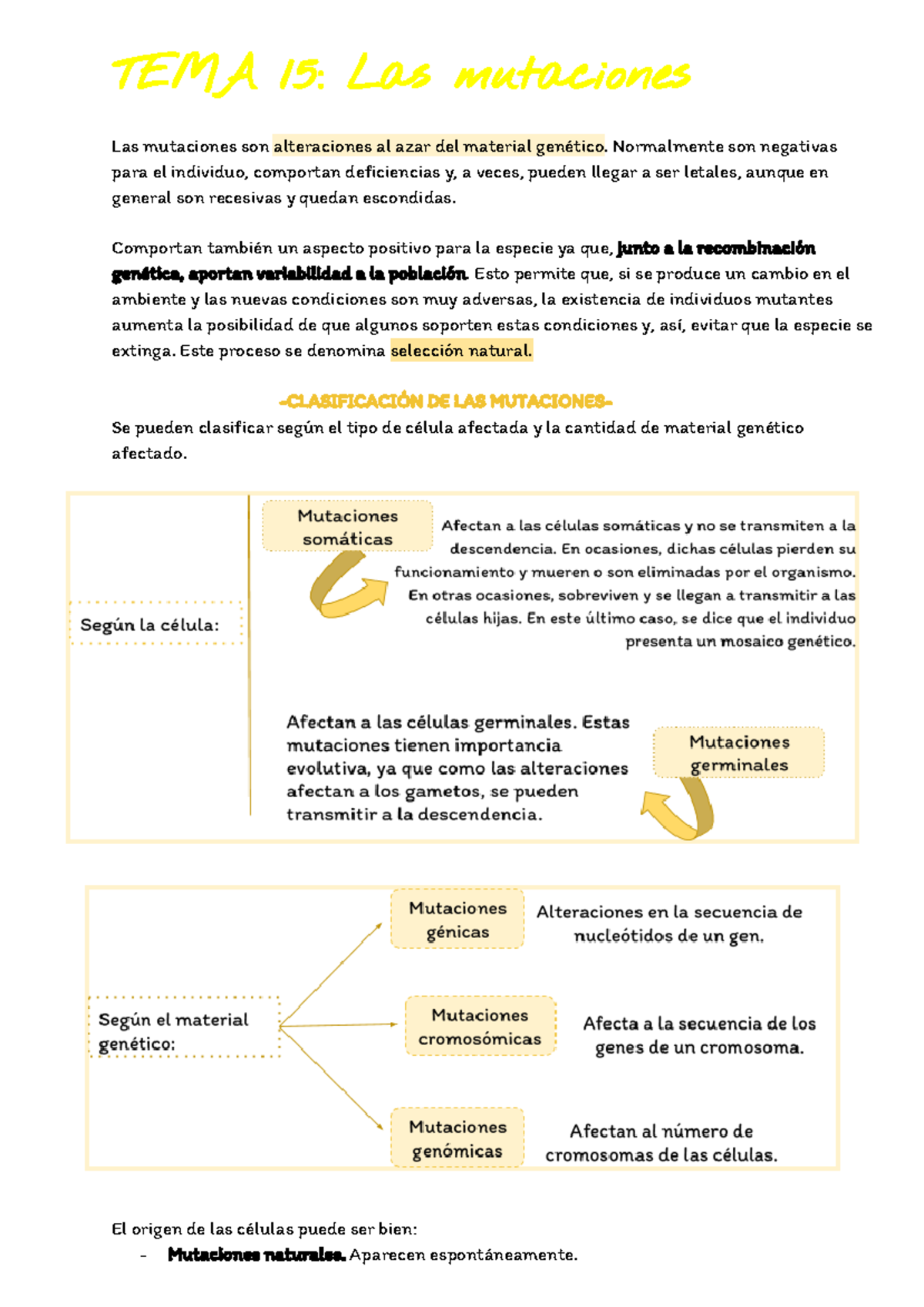 Tema 15. Biología 2 Bach-selectividad - TEMA 15: Las Mutaciones Las ...