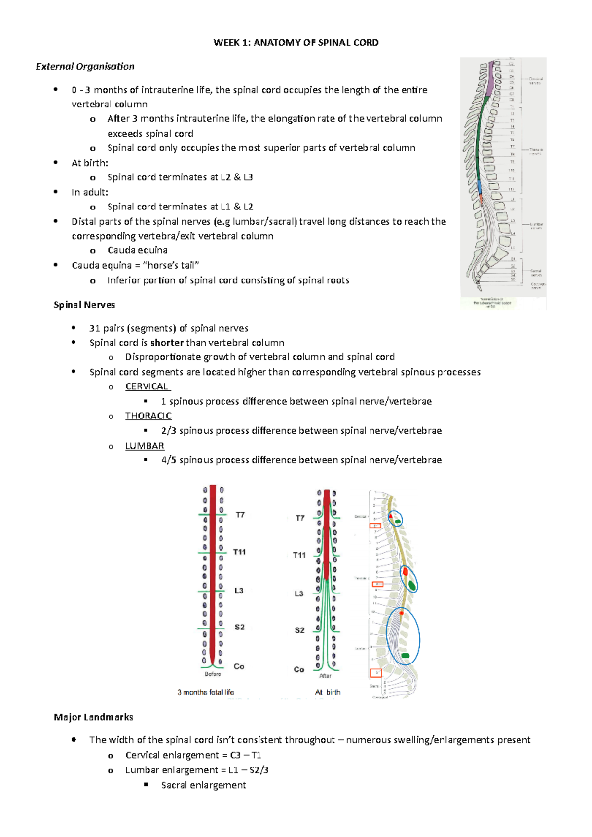 Neuroscience - WEEK 1 Examination Notes Completed - WEEK 1: ANATOMY OF ...