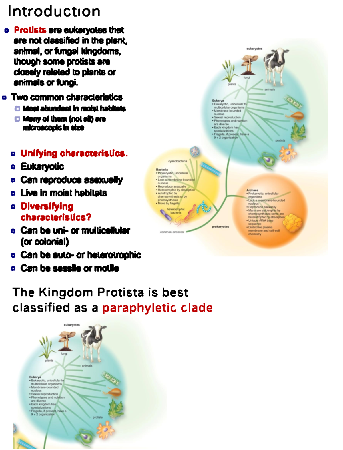 Ch. 28 - BSC 2011 Chapter 28 full notes - 7150 d L on Protists are ...