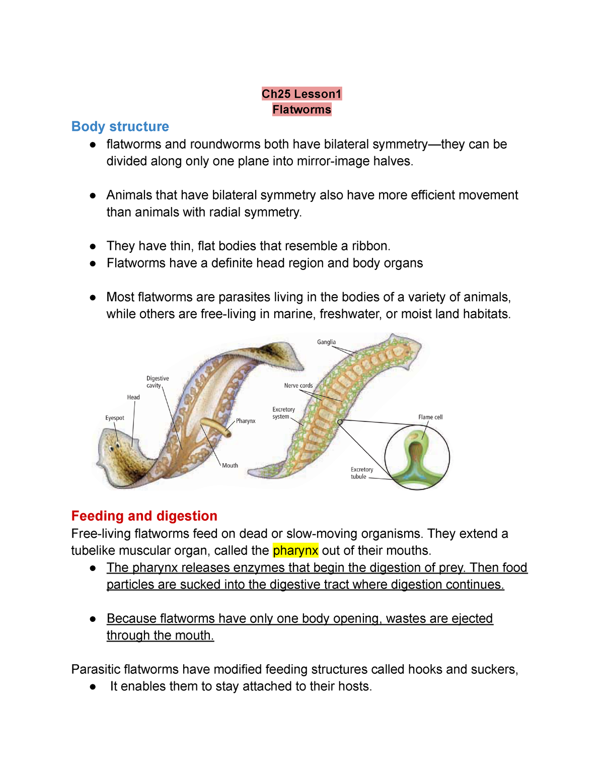 flatworms and roundworms homework assignment 3