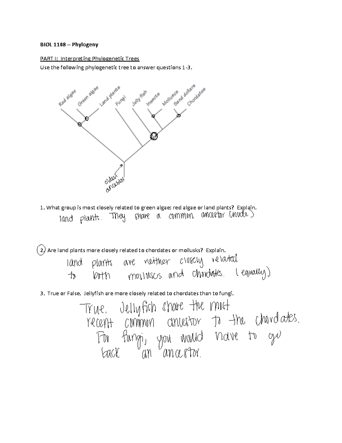 Phylogeny - This Is An Assignment We Did In Class To Explain How To ...